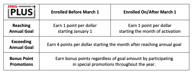 DSG Plus Program 2021